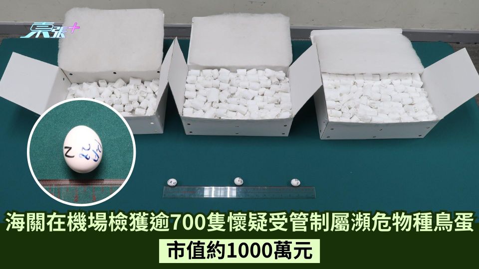 海關在機場檢獲逾700隻懷疑受管制屬瀕危物種鳥蛋  市值約1000萬元