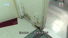簡約公屋選址惹爭議 黃偉綸指挑起社會矛盾行為損人不利己