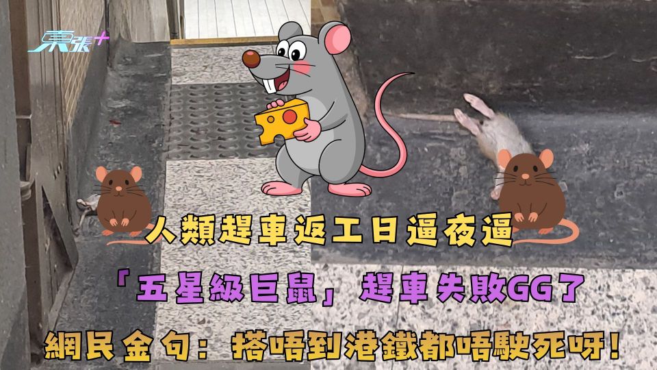人類趕車返工日逼夜逼  「五星級巨鼠」趕車失敗GG了 網民金句：搭唔到港鐵唔駛死呀！