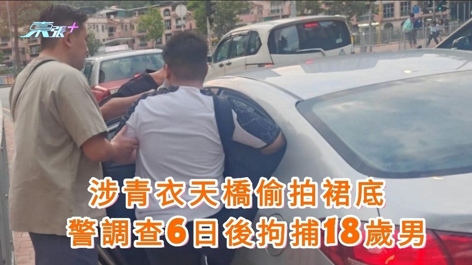 涉青衣天橋偷拍裙底 警調查6日後拘捕18歲男