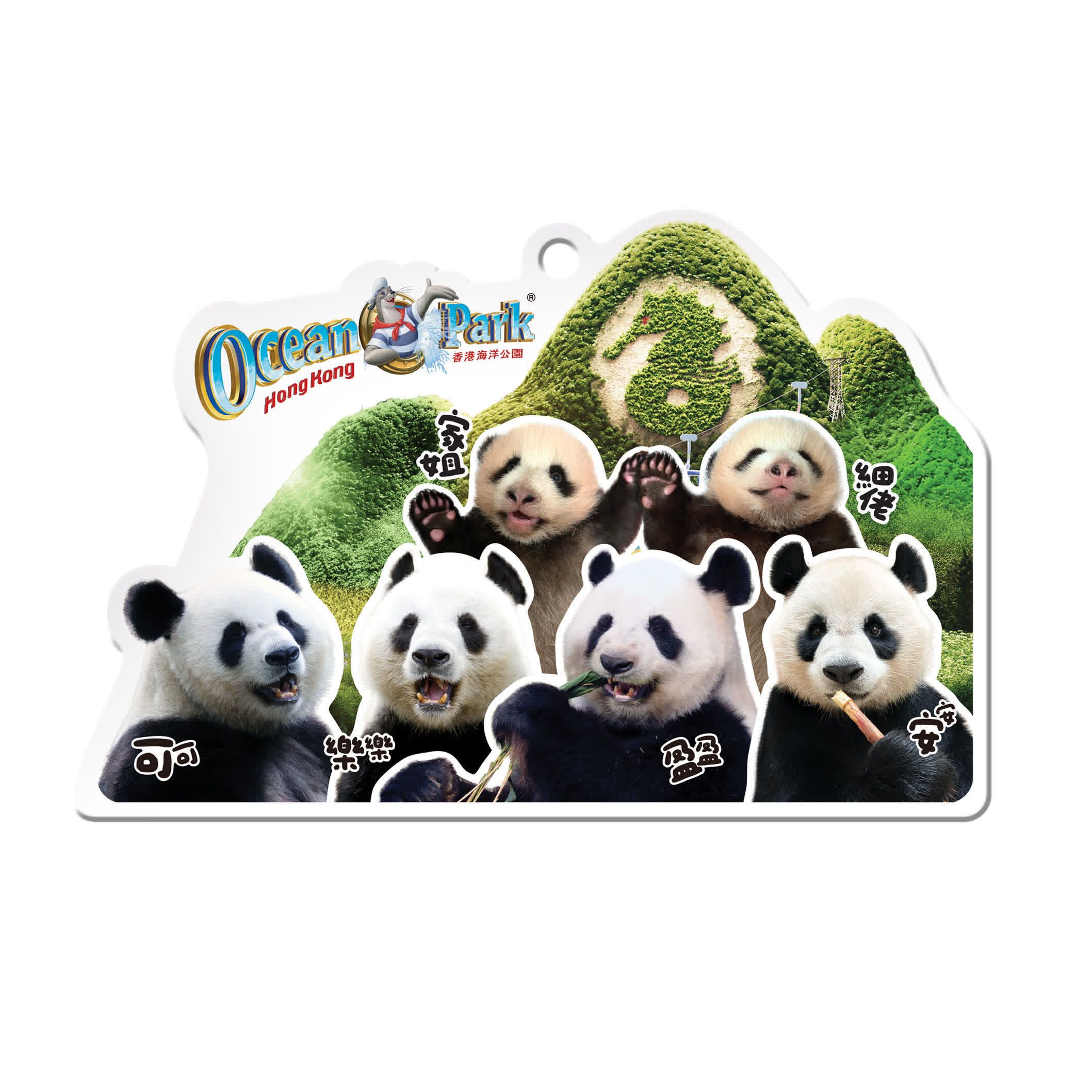 大熊貓珍藏版八達通