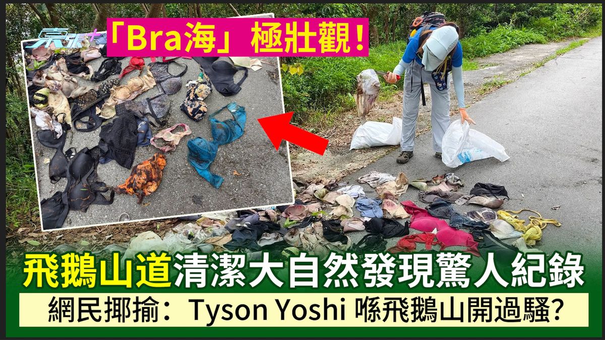飛鵝山道清潔大自然發現驚人紀錄「Bra海」極壯觀！網民揶揄：Tyson Yoshi 喺山上開騷？