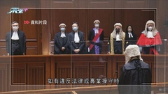 梁美芬指處理國安案可邀熟悉中國法律專家提意見 免判決與全國性法律存落差