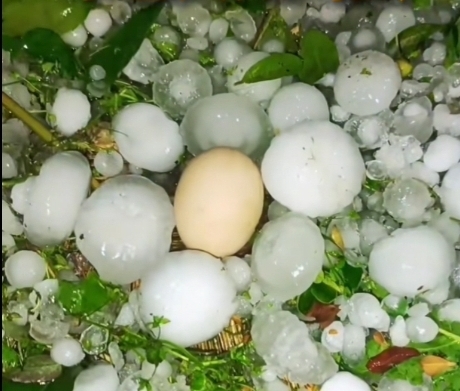 冰雹大如雞蛋。網絡圖片