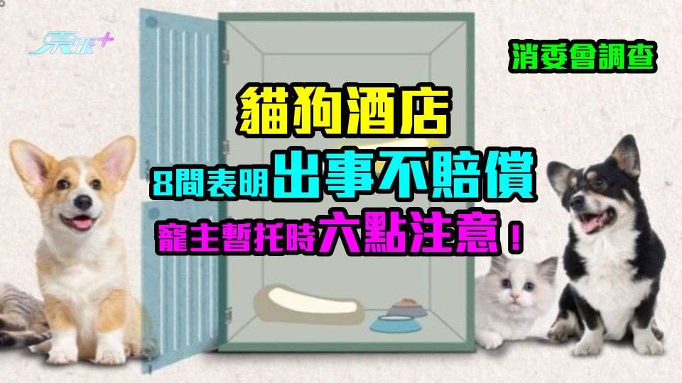 消委會調查｜貓狗酒店 8 間表明出事不賠償 （附寵主暫托時六點注意！）