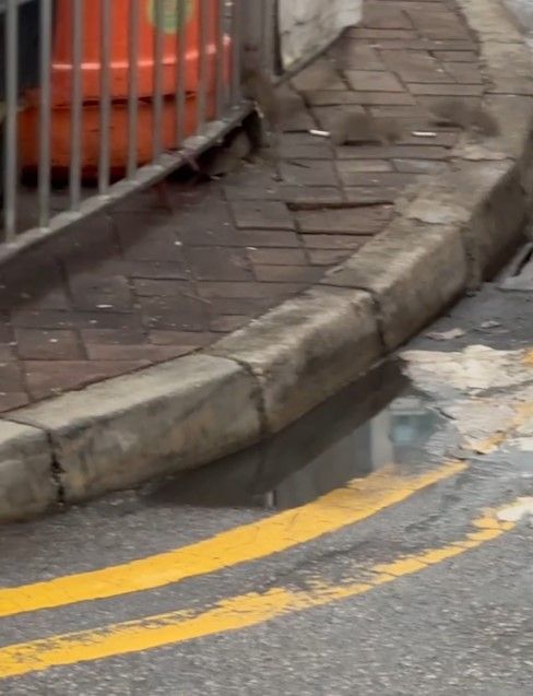 大埔街頭驚變「迪士尼樂園」嚇怕街坊