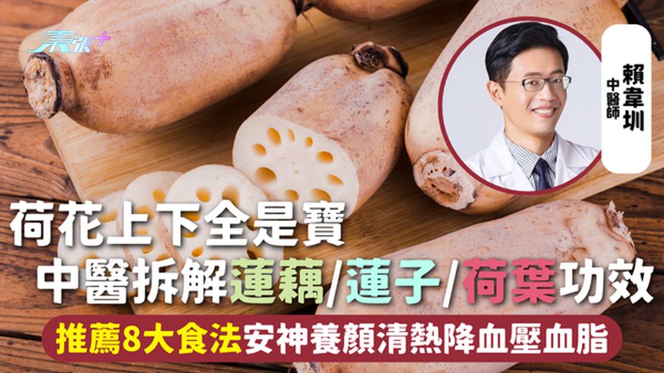 荷花上下全是寶 中醫拆解蓮藕/蓮子/荷葉功效 推薦8大食法安神養顏清熱降血壓血脂