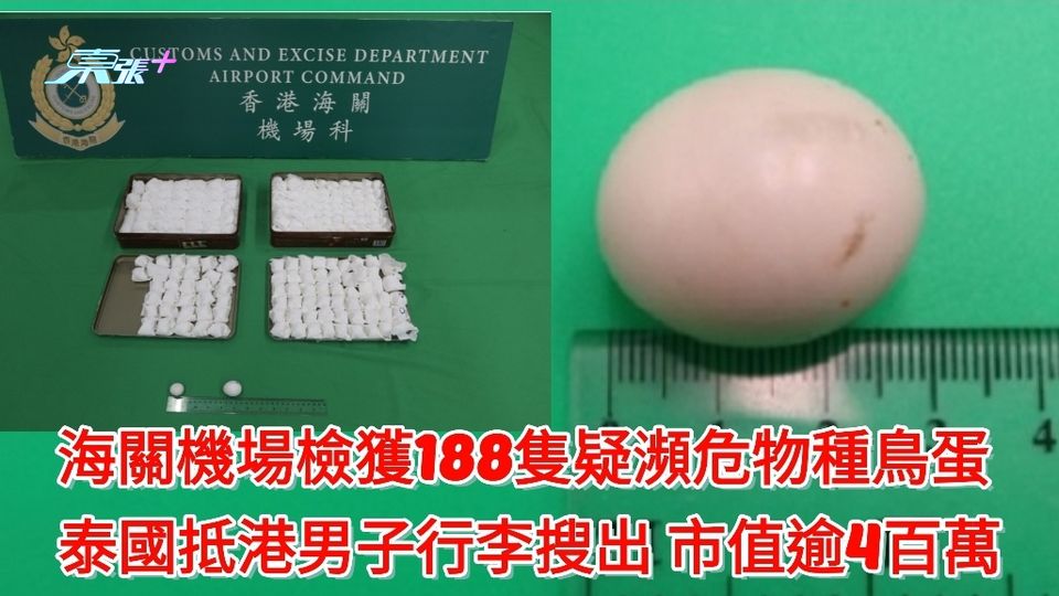 海關機場檢獲188隻疑瀕危物種鳥蛋 泰國抵港男子行李搜出 市值逾4百萬