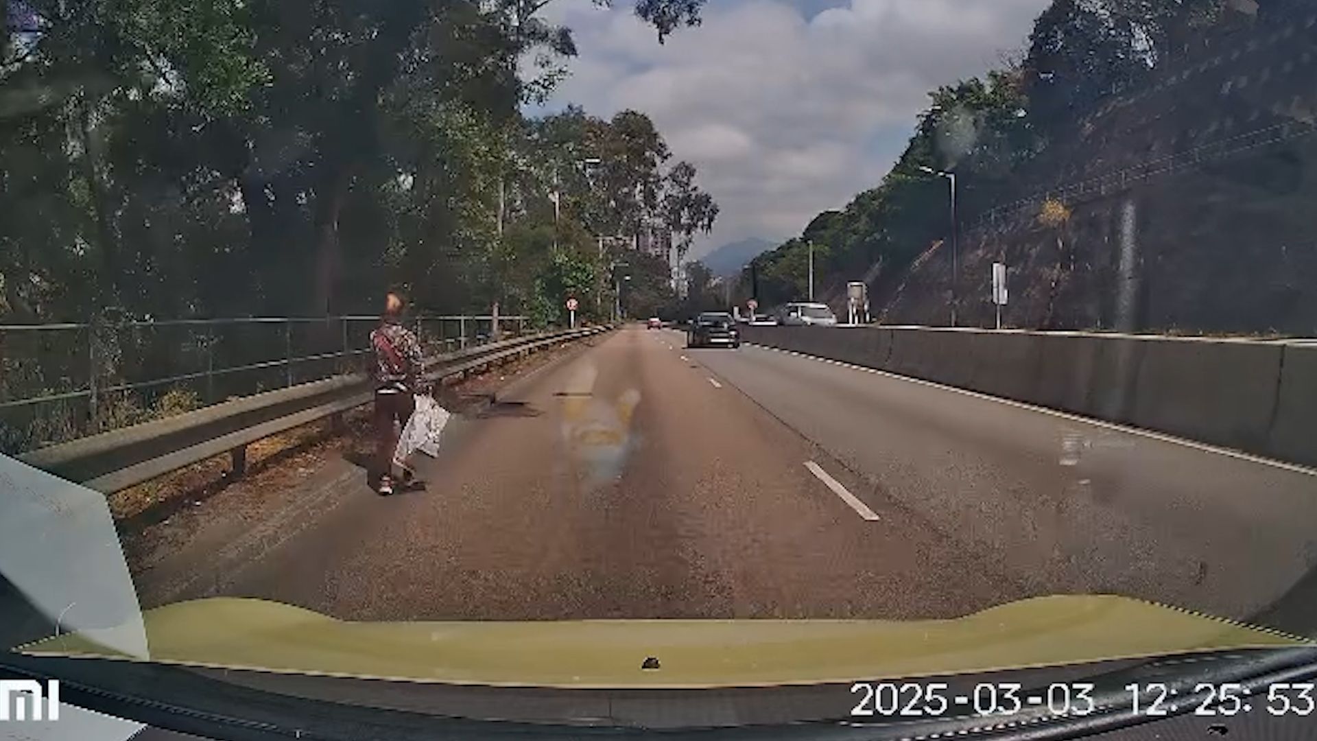 老婦獅子山隧道落錯巴士步行回家，熱心司機見狀開車送回家。(影片截圖)
