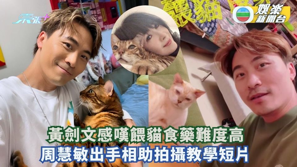 黃劍文感嘆餵貓食藥難度高 周慧敏出手相助拍攝教學短片