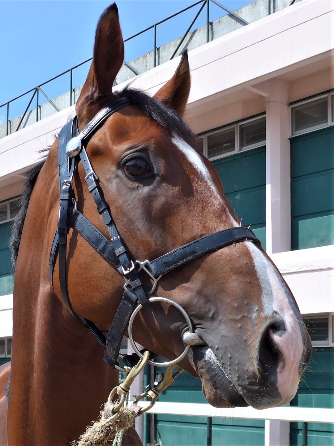 未提供相片說明。