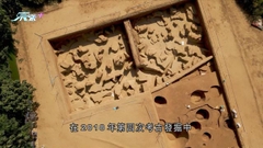 河南裴李崗村農業考古雙豐收成為「網紅村」 吸引大量遊客觀光