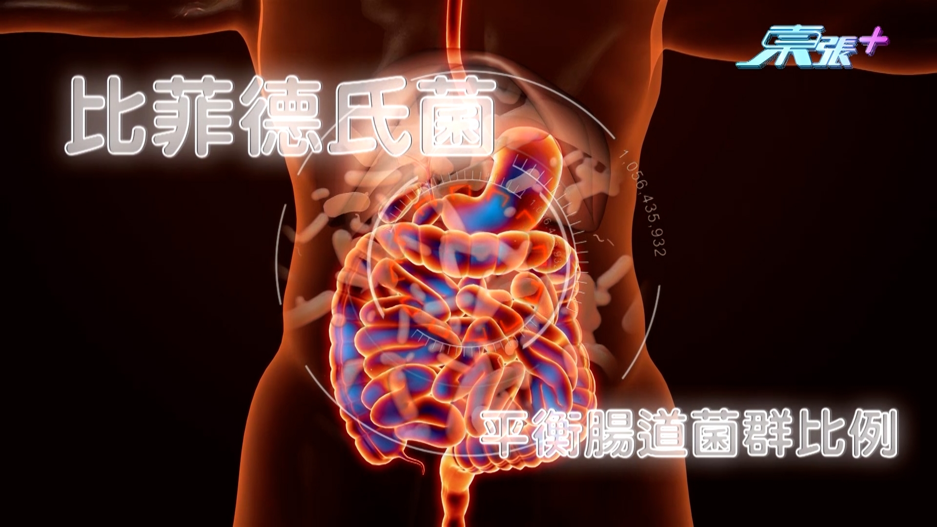 藥劑師表示，益生菌可以幫助修身，只要補充合適的益生菌，例如「比菲德氏菌」，就可以平衡腸道好菌及壞菌的比例，促進身體製造更多短鏈脂肪酸，加強代謝，幫助抑制脂肪嘅消化同吸收；而且有助軟化宿便，加強腸道蠕動，排走腸道𥚃的毒素，減少內臟脂肪嘅積聚。