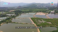 據悉私人發展商參建資助房屋細節最快下周二公布 料單位有基本裝修