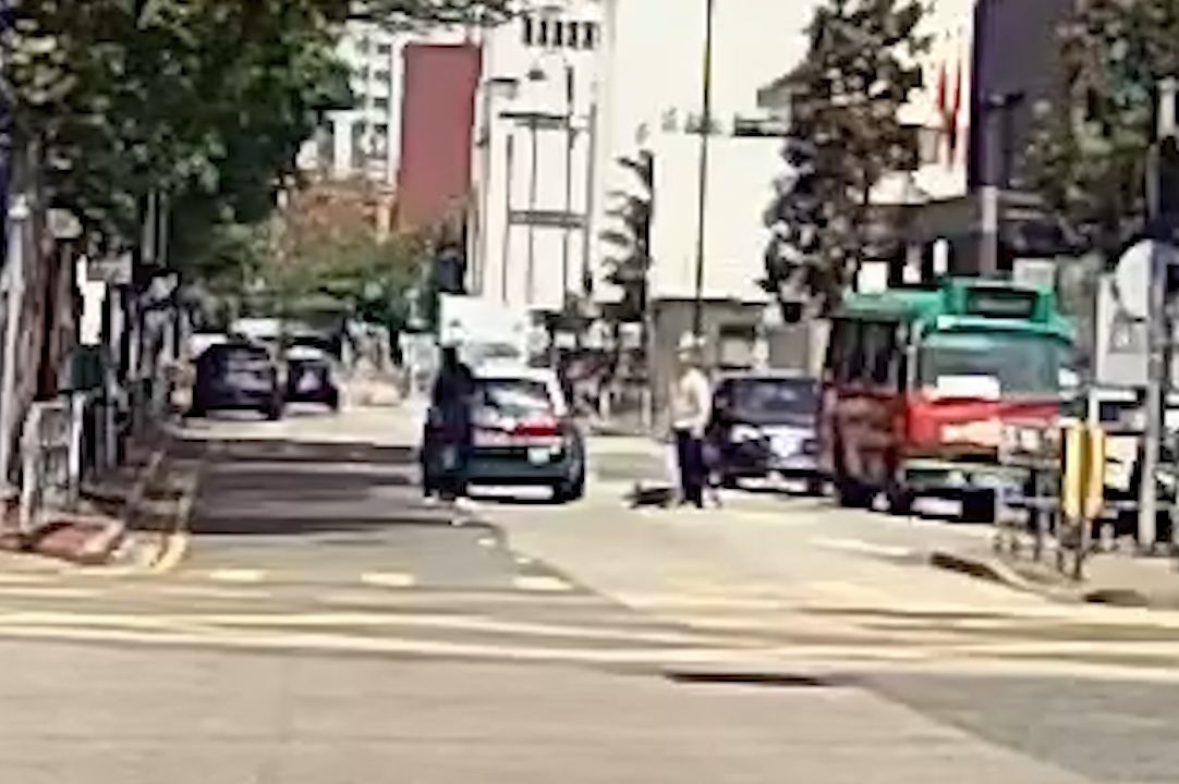 馬路MMA｜元朗單車友大戰綠的司機，互毆打到撞落小巴勁精彩。