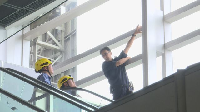 專家商議捕捉果子狸。