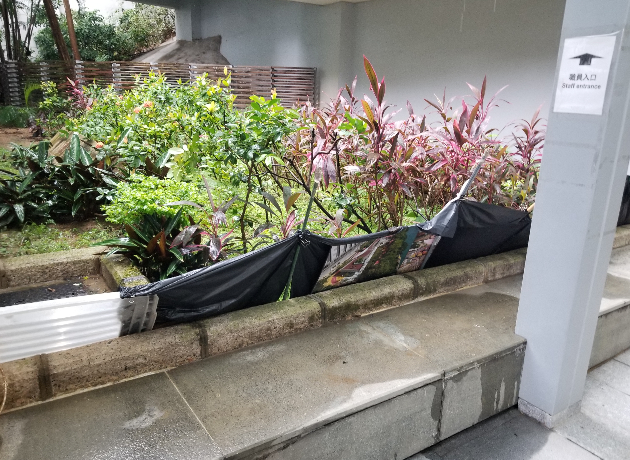 東張西望報料｜高等法院旁現雜物堆積　街坊質疑影響觀感：與法院莊嚴形象不符 （觀眾吳先生報料）