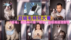 超級毛特兒大賽｜「超毛」接受新一張「通告」 拍攝超萌造型照！