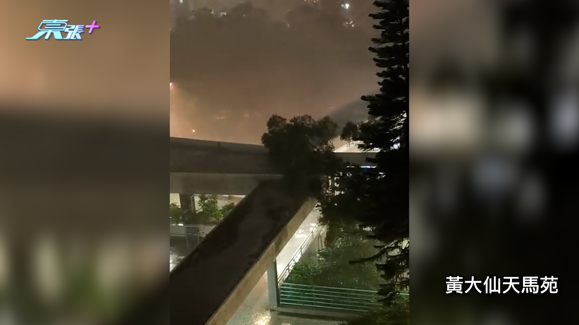 東張西望報料｜黑雨下市面多區水浸　黃大仙沙田成澤國　多名觀眾報料：浸曬啊！