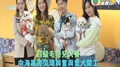 超級毛特兒大賽丨向海嵐周奕瑋興奮與愛犬開工 黃嘉雯助狗狗克服分離恐懼