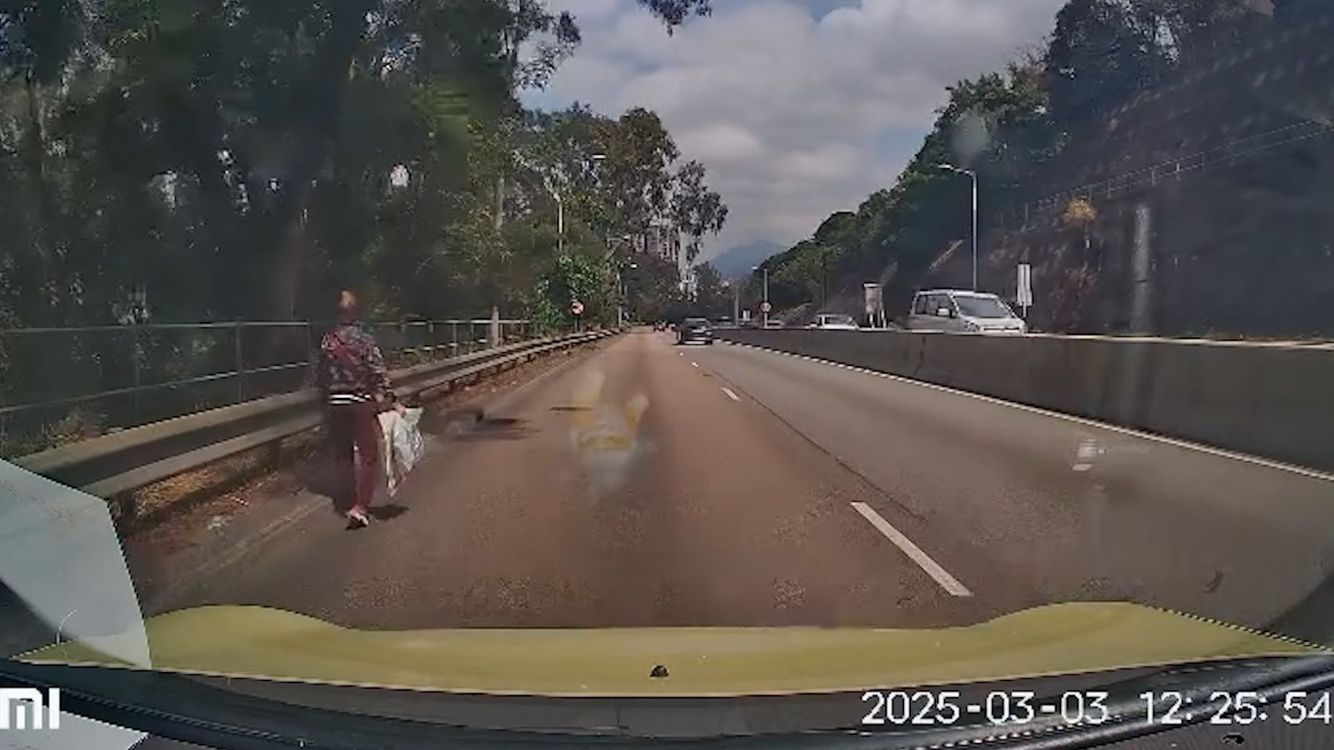 老婦獅子山隧道落錯巴士步行回家，熱心司機見狀開車送回家。(影片截圖)