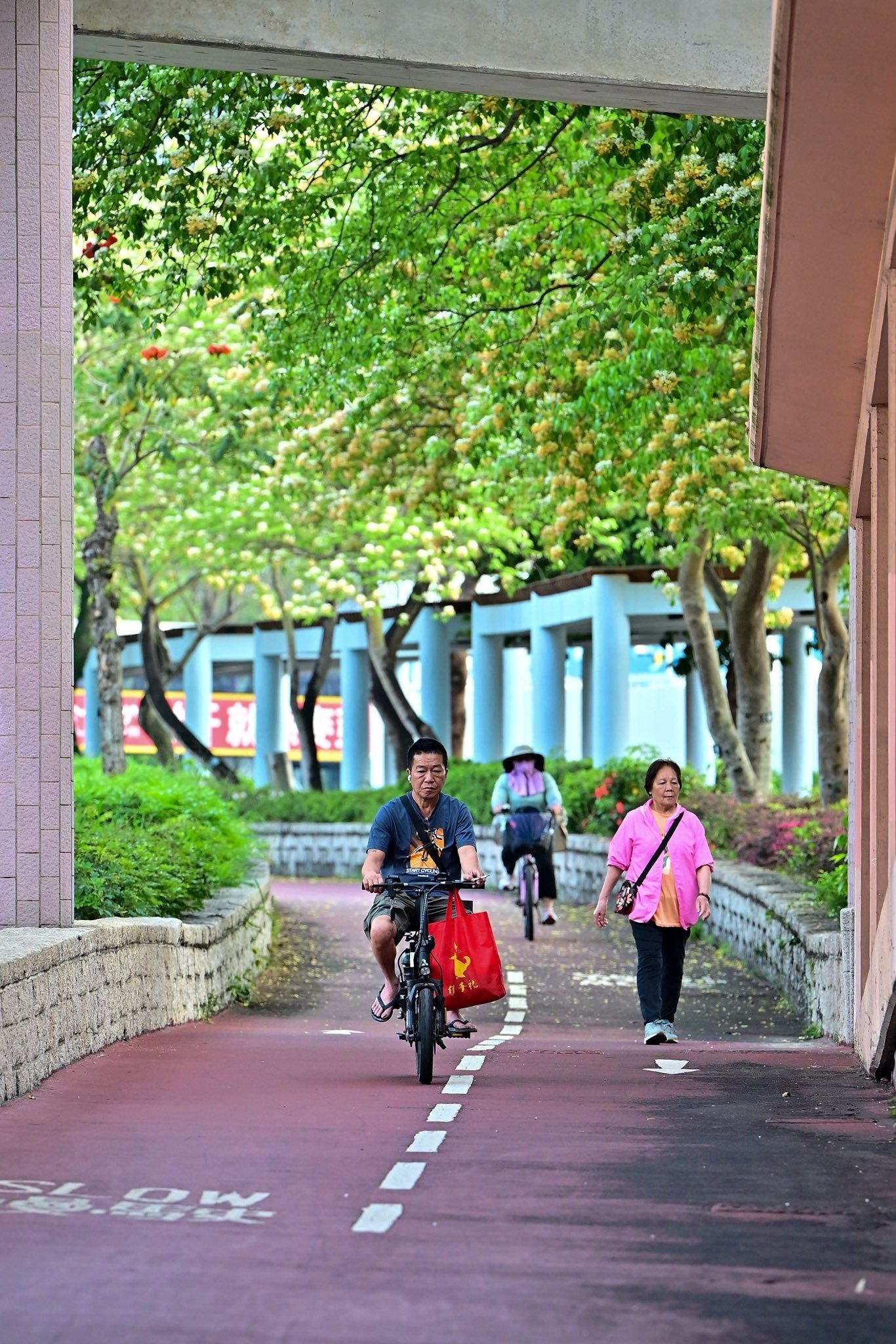 可能是一或多人、自行車、速克達和街道的圖像