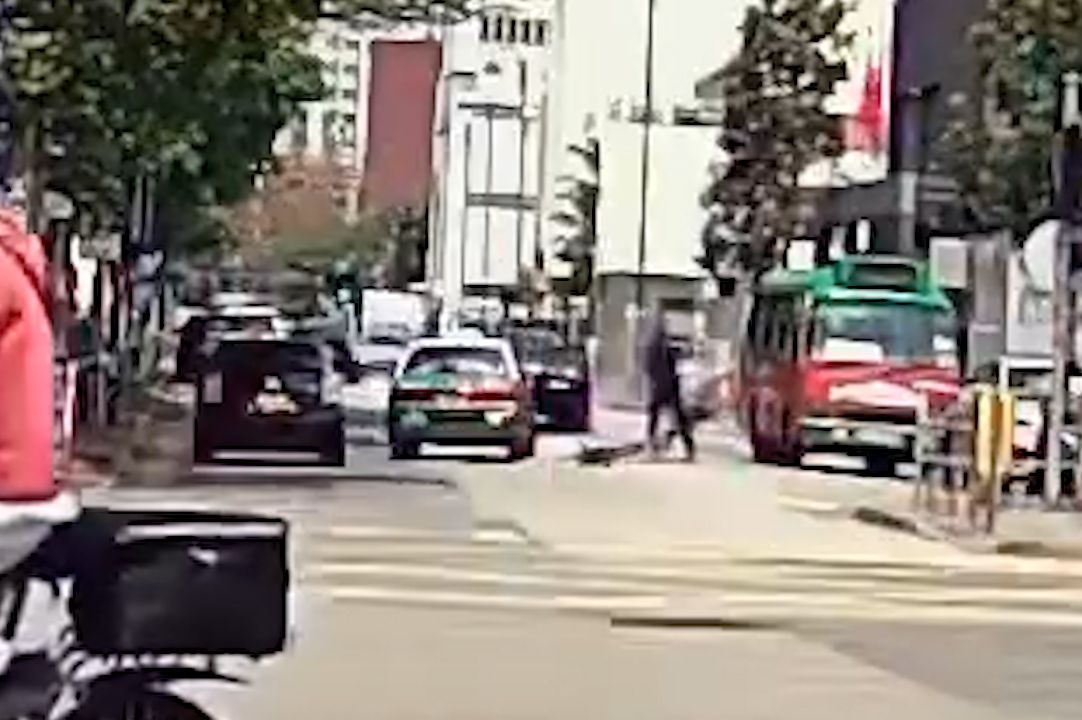 馬路MMA｜元朗單車友大戰綠的司機，互毆打到撞落小巴勁精彩。