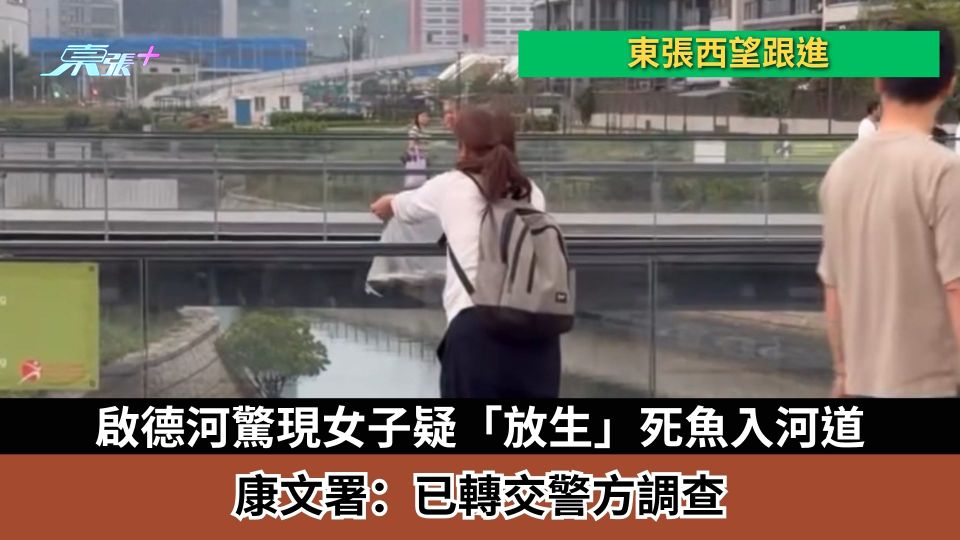 東張西望跟進｜啟德河驚現女子疑「放生」死魚入河道　康文署：已轉交警方調查