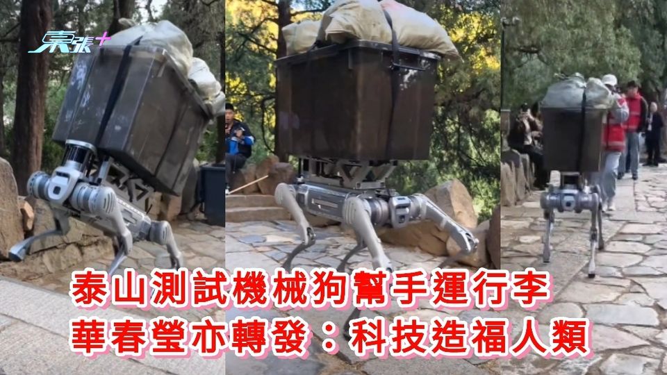 有片|泰山測試機械狗幫手運行李   華春瑩亦轉發:科技造福人類