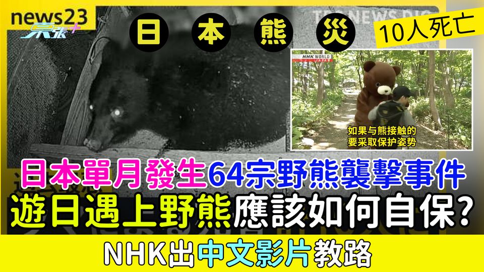 日本熊災｜日本單月發生64宗野熊襲擊事件 10人死亡 遊日遇上野熊應該如何自保？NHK出中文影片教路