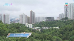 《樓市點睇》：綠化地改建資助房屋 今晚九點半無綫財經‧資訊台