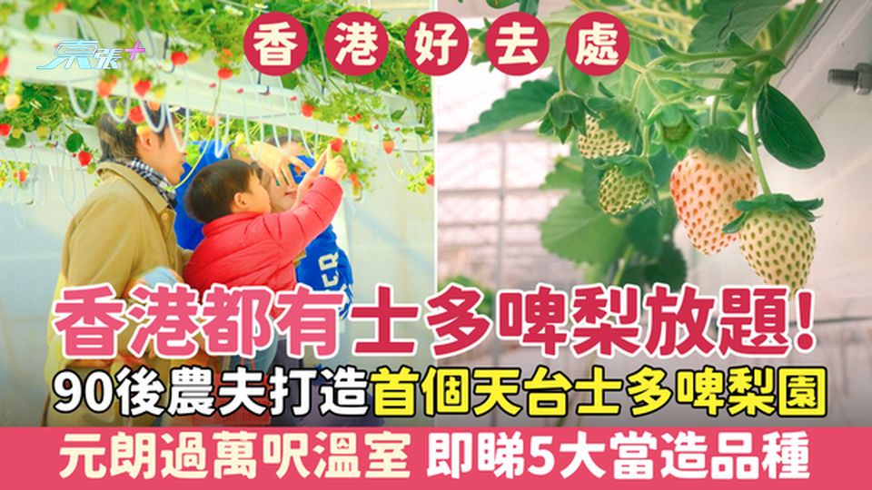 香港好去處｜香港都有士多啤梨放題！90後農夫打造首個天台士多啤梨園＋過萬呎溫室 即睇5大當造品種