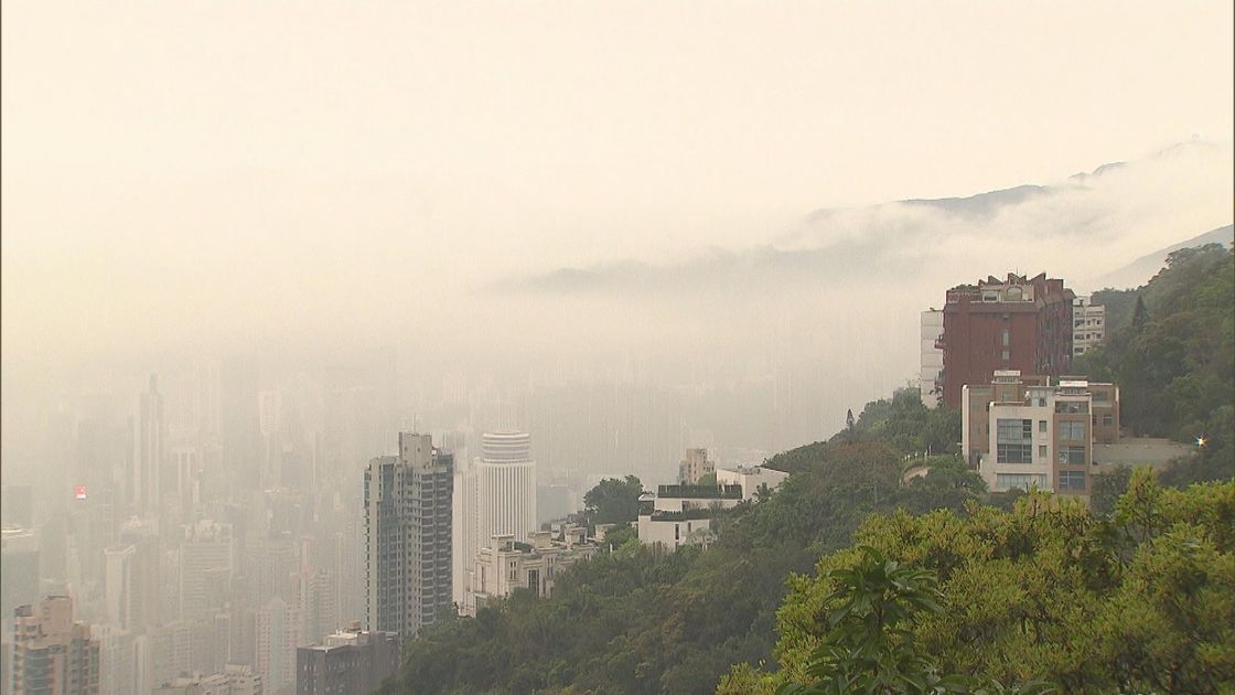 天氣｜天文台：晚上將有一兩陣微雨　日間最高氣溫約24度 (TVB圖片)