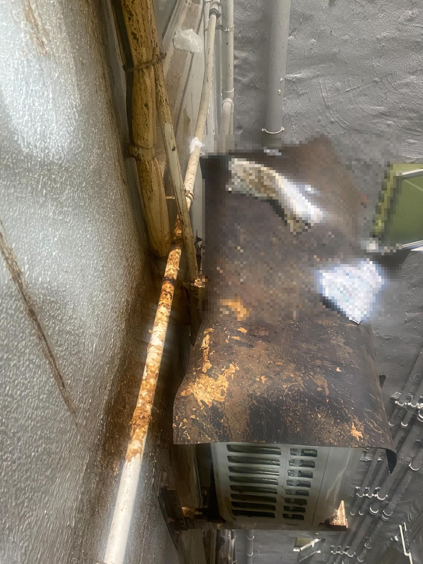 私樓港女疑遭樓上鄰居「掟屎」　網上發文求救：好崩潰