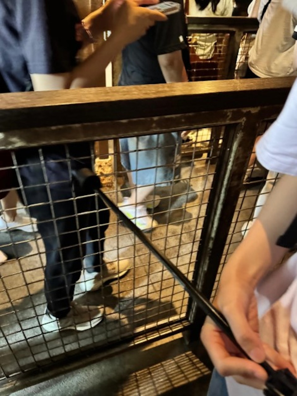 事主被後方小童不斷插隊，她最終拿出縮骨遮，以擋對方「爬頭」路線。