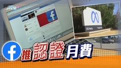 Meta將於旗下社交平台推出付費身份認證服務 澳洲新西蘭本星期率先推行