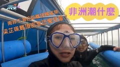 非洲潮什麼｜南非下海近距離接觸鯊魚 梁芷珮難頂密室恐懼見暈？