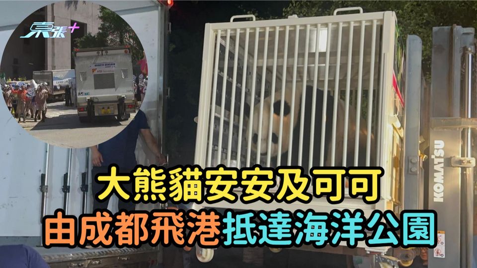 大熊貓安安及可可由成都飛港  抵達海洋公園