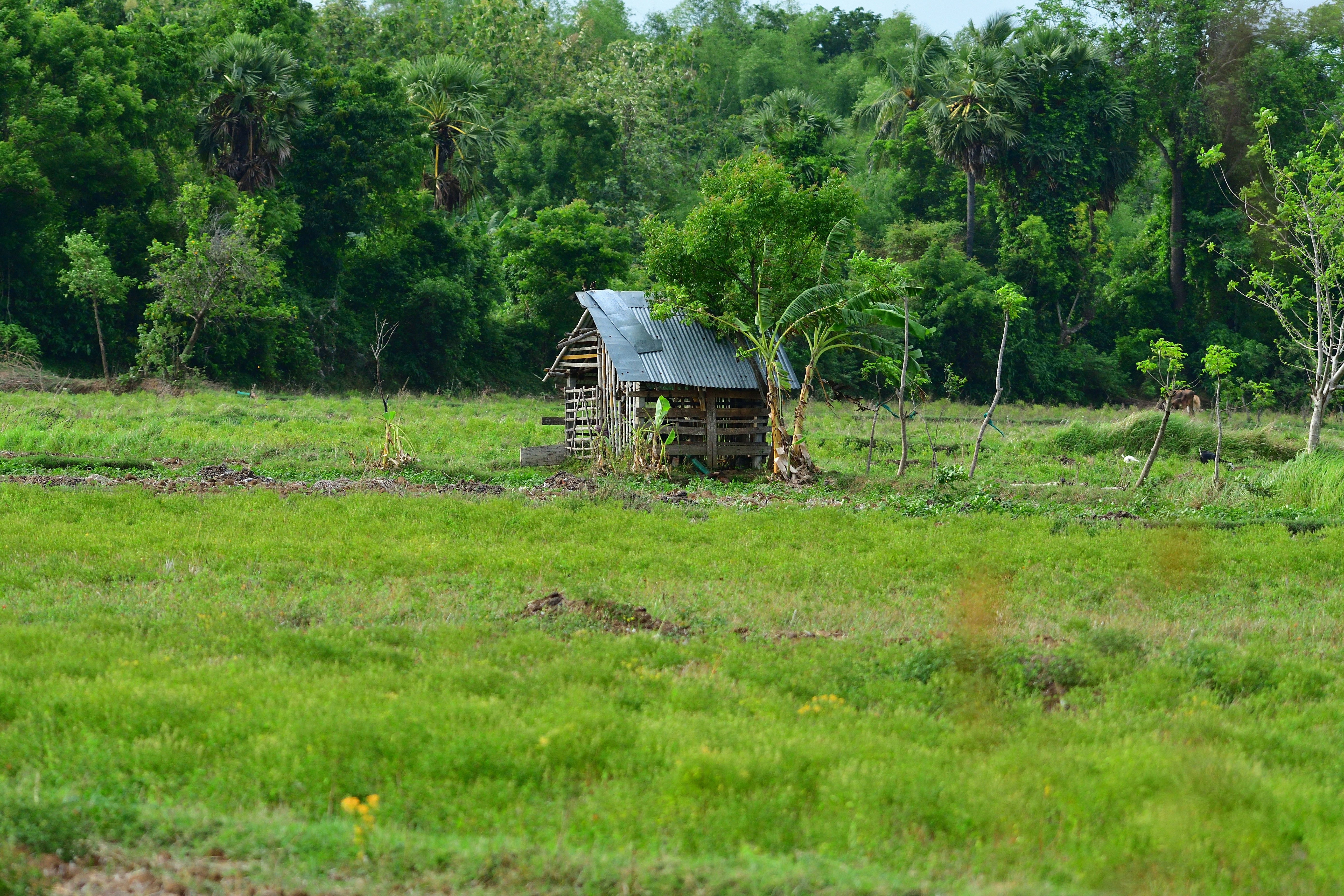 90歲獨居老婦遭4名蒙面男輪姦性虐　被遺棄井邊煎熬12小時方獲救 (印度配相@unsplash)