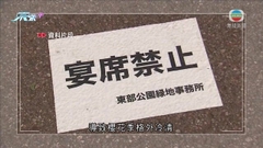 東京賞櫻會活動復辦 料下周四開花成全國最早迎接櫻花城市