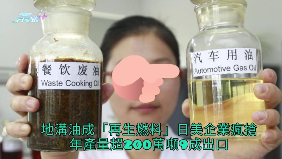 地溝油成「再生燃料」日美企業瘋搶 年產量超200萬噸9成出口