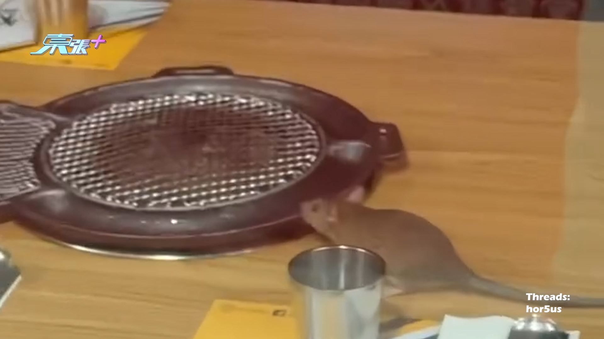 荃新天地韓燒餐廳老鼠出沒走上桌　爬來爬去勁恐怖嚇到片主爆曬粗