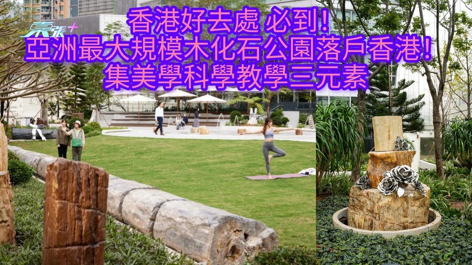 香港好去處2024｜必到！亞洲最大規模木化石公園落戶香港！集美學科學教學三元素