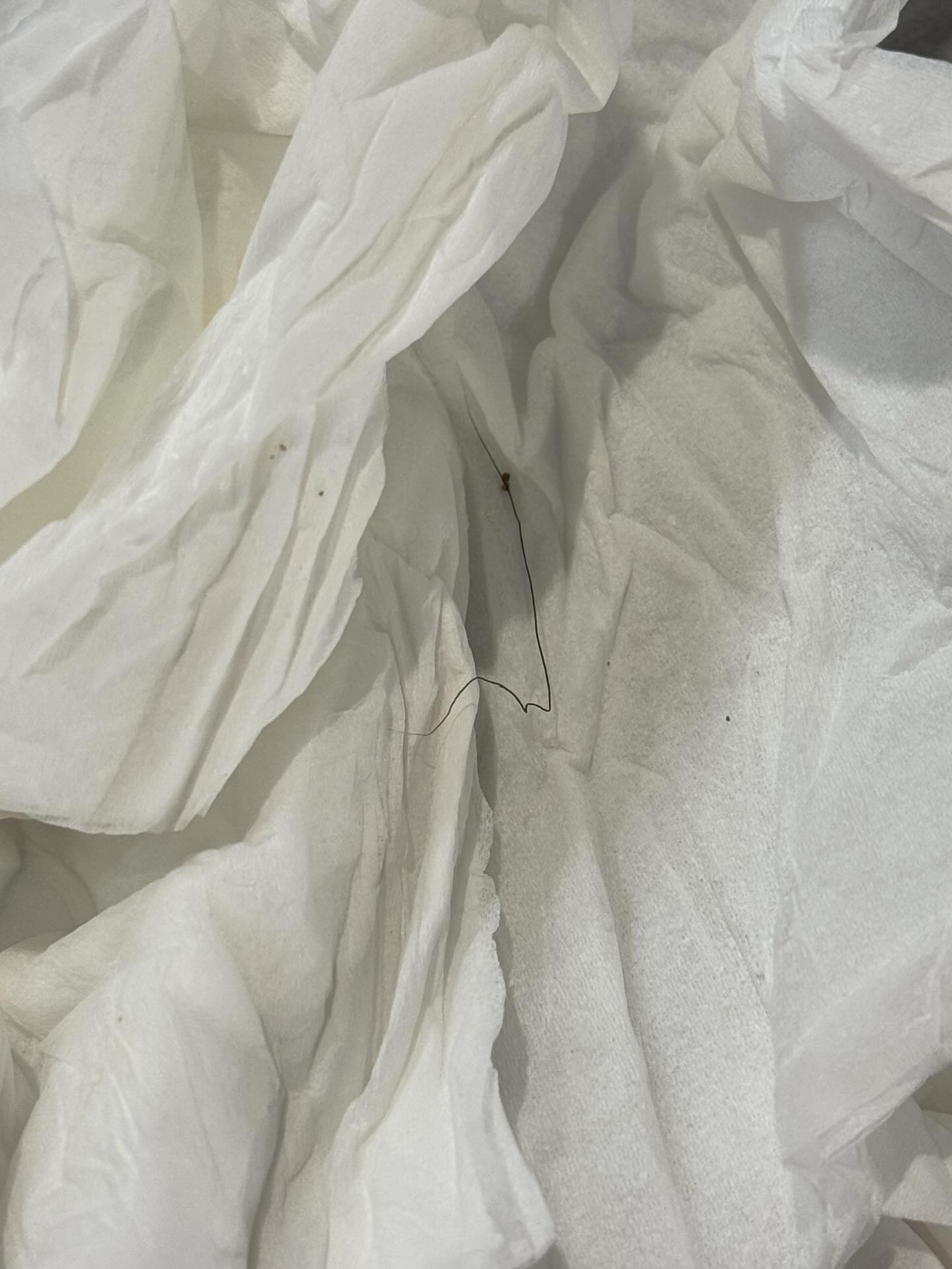 樓主表示，日前他與友人在某學校飯堂吃雞煲，當友人夾起烏冬時，突然大叫「哇X，唔係嘛」，稱他在湯勺處夾出1條疑似「X毛」，「仲要條毛兩邊都有雞煲汁」。（Threads圖片／shadow_clayz）